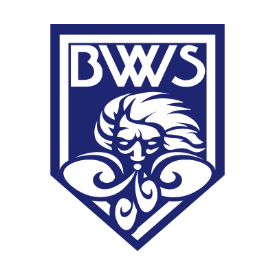 福井ブローウィンズ