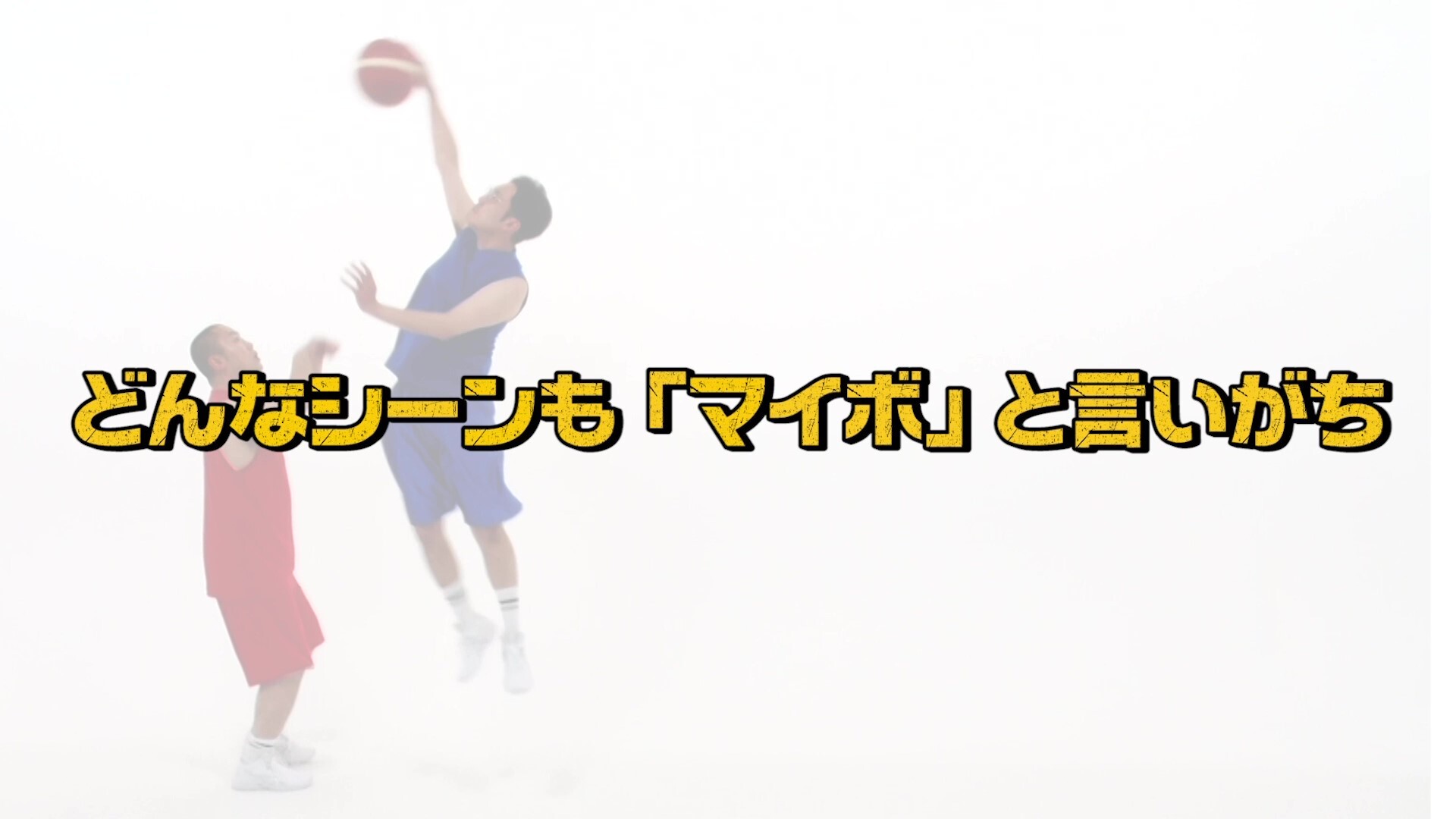 News B League Bリーグ 公式サイト